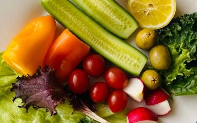 Alimentation pour freerider : Le carburant essentiel pour vos aventures en montagne