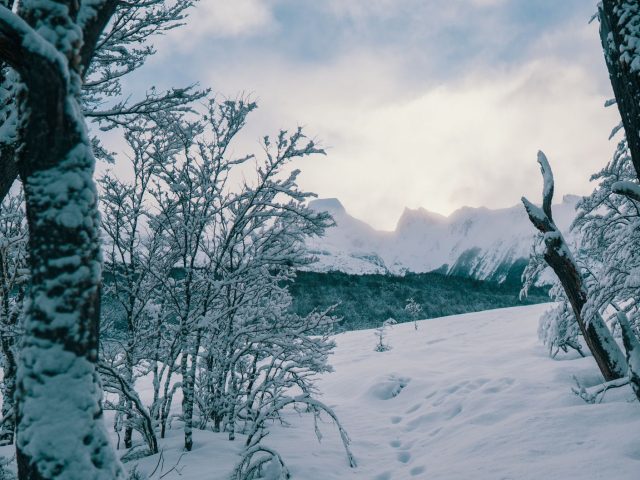 Quelles compétitions de biathlon suivre cet hiver ?